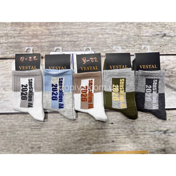 Детские носки д-022 весна оптом 130226-0257