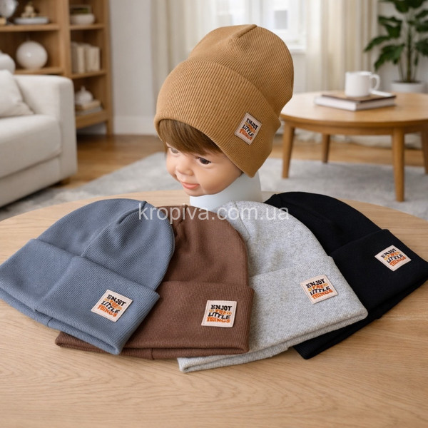 Детская  шапка оптом 240226-134
