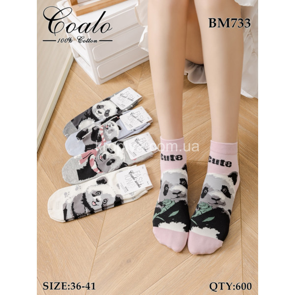 Жіночі шкарпетки оптом 010326-751