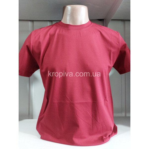 Чоловічі футболки норма VIPSTAR оптом  (040223-650)