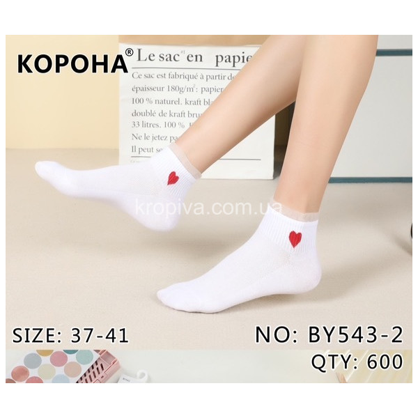 Жіночі шкарпетки оптом 210823-656