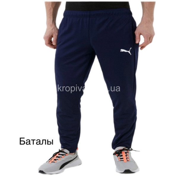 Мужские спортивные штаны 02 батал оптом  (250923-249)