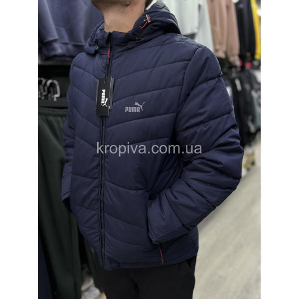 Мужская куртка 2031 зима норма оптом 091023-781