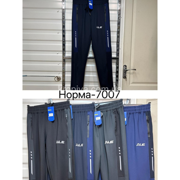 Чоловічі спортивні штани норма весна оптом  (090124-672)