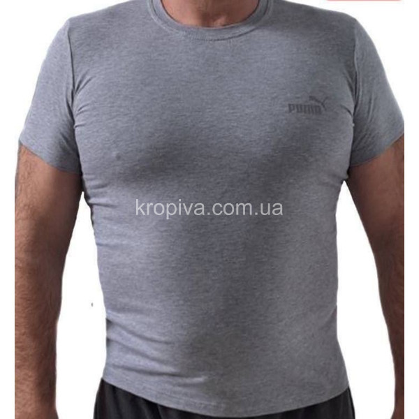 Мужская футболка норма оптом  (160424-764)