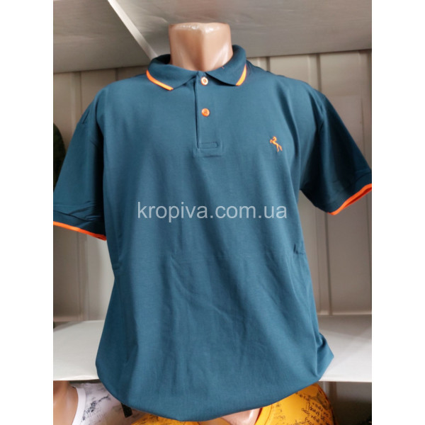 Чоловічі футболки-поло норми Туреччина ELVIS оптом 280424-678