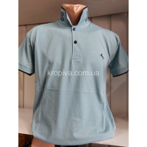 Чоловічі футболки-поло норми Туреччина ELVIS оптом 280424-688