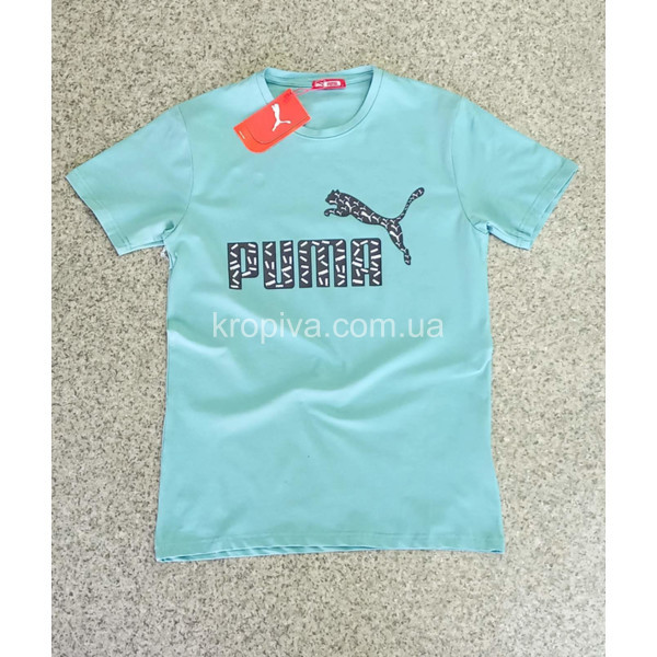 Чоловічі футболки норма Туреччина оптом 120524-672