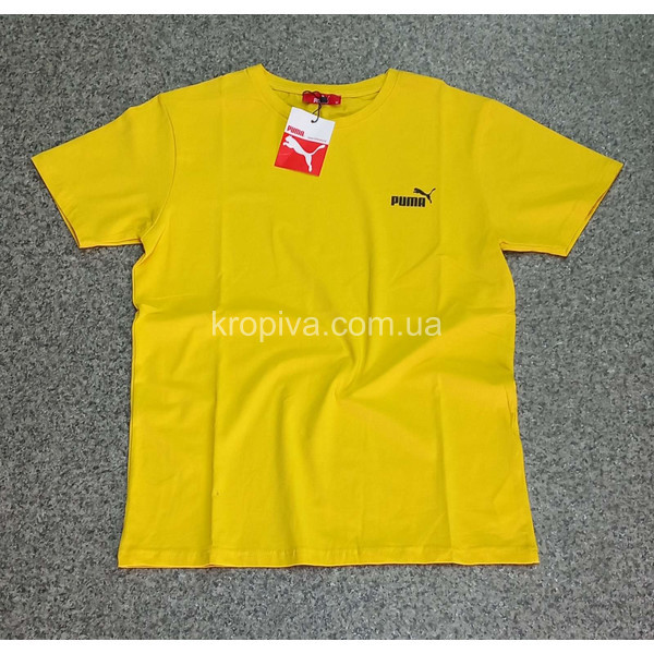 Чоловічі футболки норма Туреччина оптом 210524-638