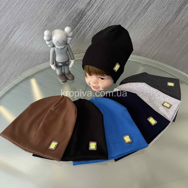 Дитяча шапка оптом 270225-295