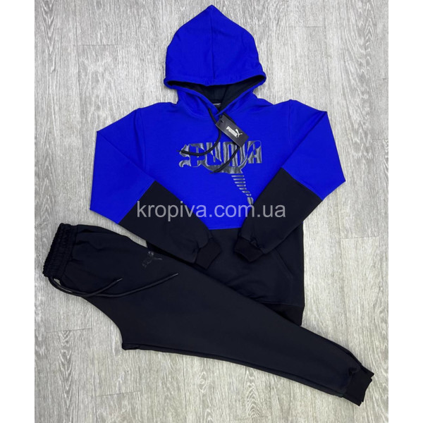 Мужской спортивный костюм 254 оптом 090425-648