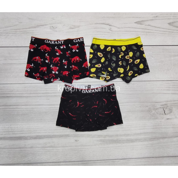 Чоловічі труси GARANT Premium 310 норма оптом 071025-037