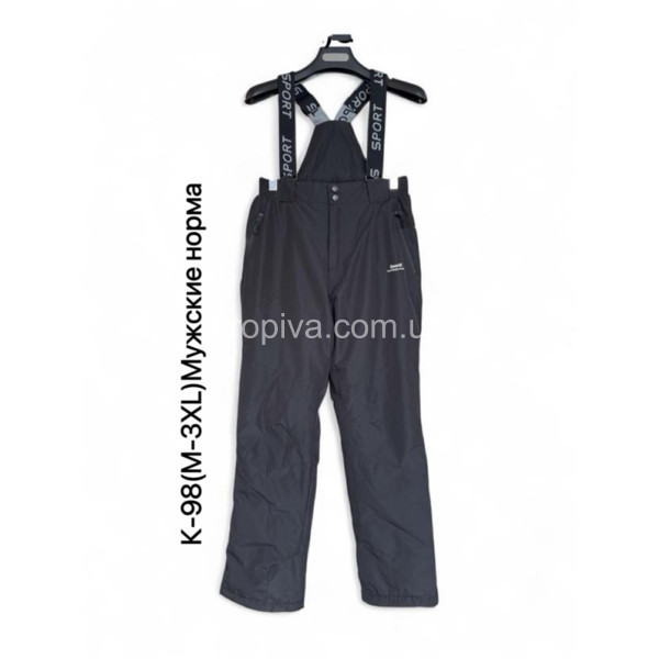 Чоловічі спортивні штани норма утеплені оптом 061125-637