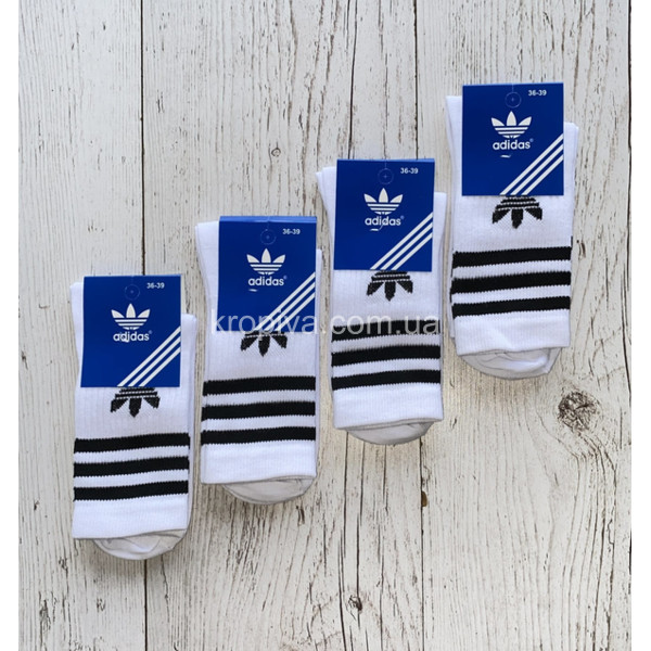 Жіночі шкарпетки демісезон оптом 211125-733