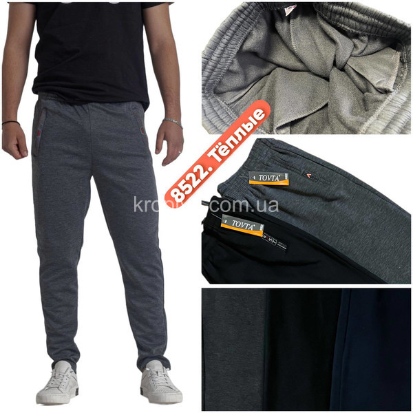 Чоловічі спортивні штани норма мікс оптом 221125-730