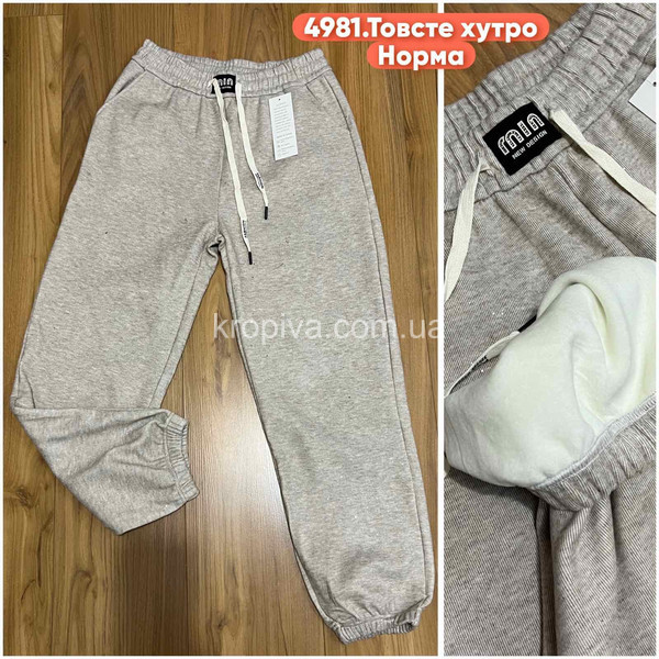 Жіночі спортивні штани на хутрі оптом 221125-760
