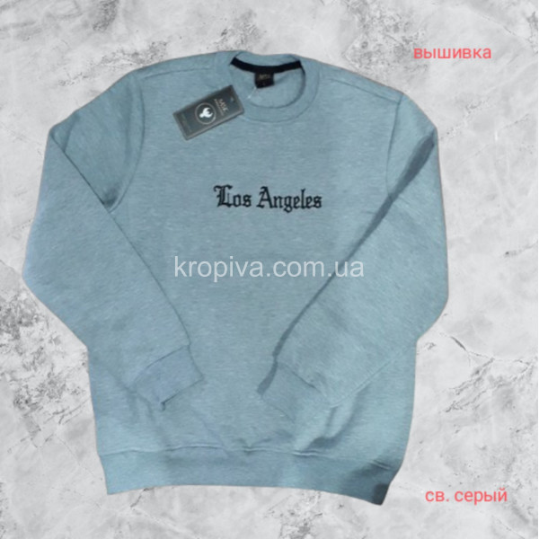 Чоловічий світшот норма оптом 071225-079