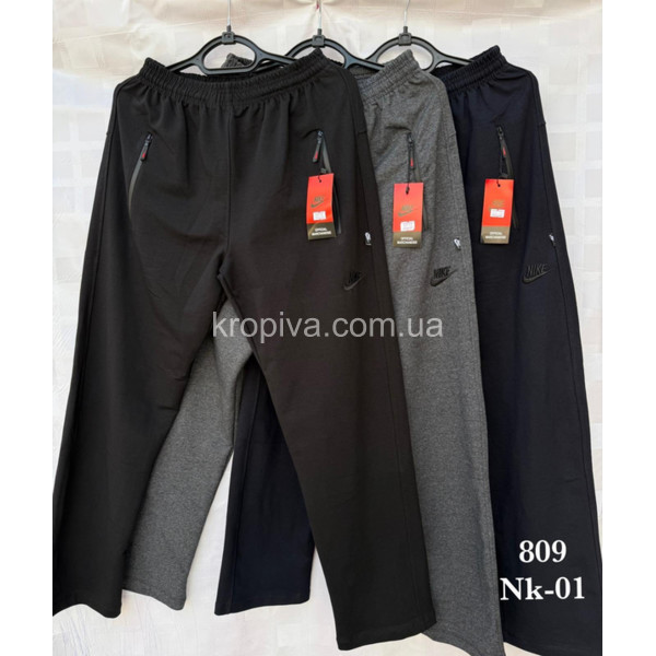 Чоловічі спортивні штани норма оптом 090226-612