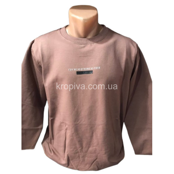 Мужской свитшот норма оптом 130226-0168