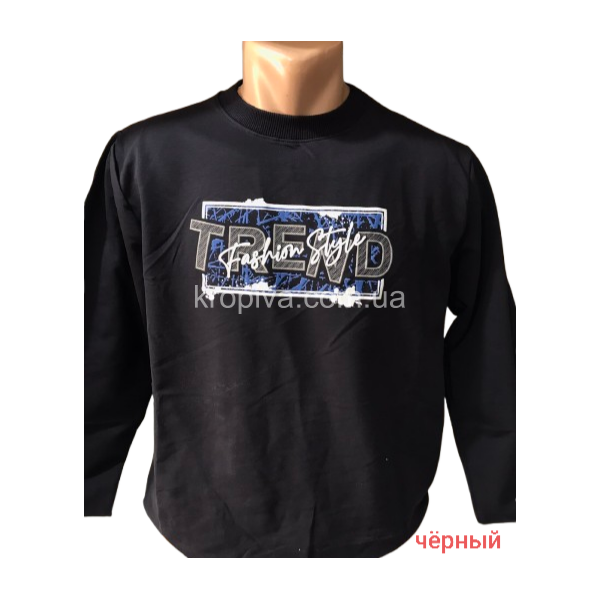 Мужской свитшот норма оптом 130226-0188
