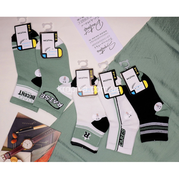 Детские носки д-021 весна оптом 130226-0258