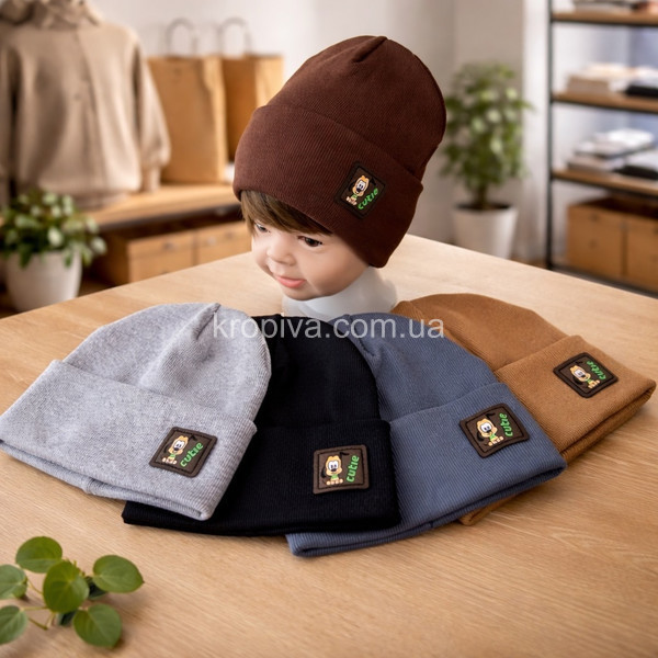 Детская  шапка оптом 240226-128