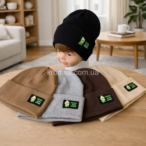 Детская  шапка оптом 240226-135