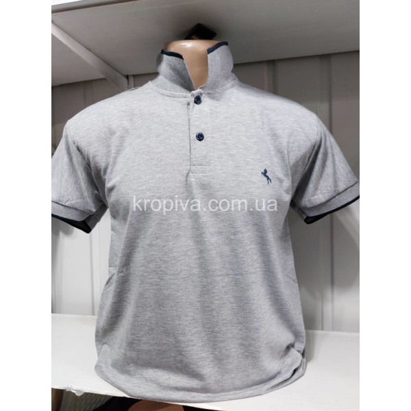 Чоловічі футболки поло норма Туреччина ELVIS оптом 120623-658