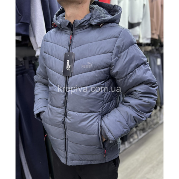 Чоловіча куртка 2031 зима норма оптом 091023-782