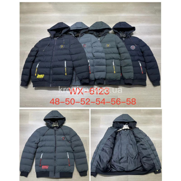 Чоловіча куртка норма зима оптом 241023-603