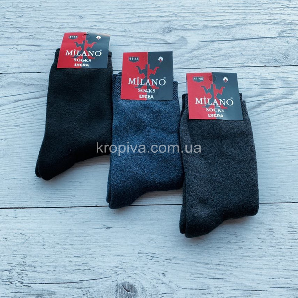 Чоловічі шкарпетки махра зима оптом 091123-611