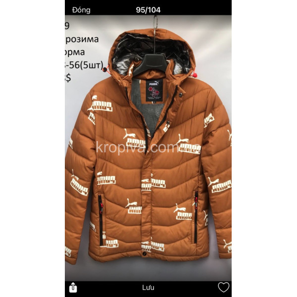 Чоловіча куртка норма зима оптом 211123-700