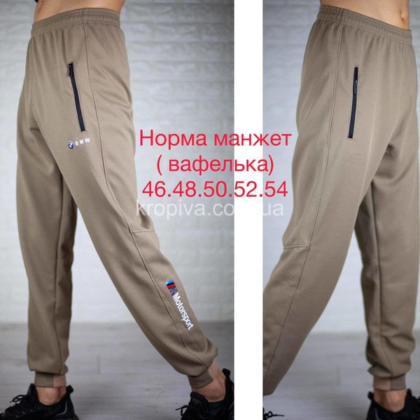 Чоловічі спортивні штани норма оптом 100224-02