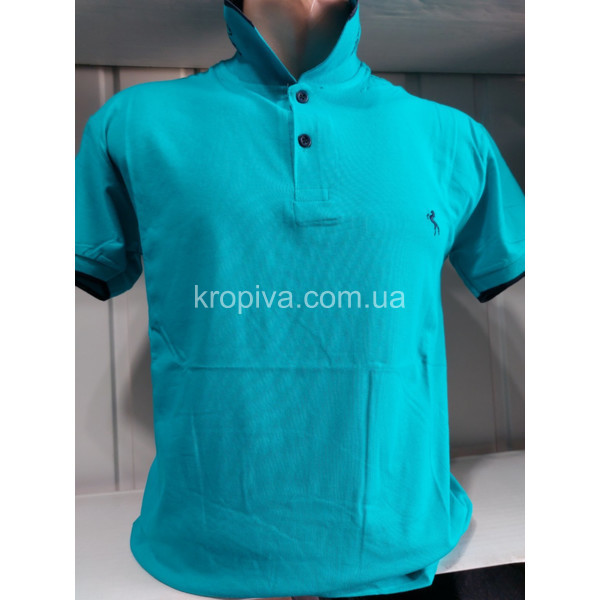 Чоловічі футболки-поло норма Туреччина ELVIS оптом 020424-606