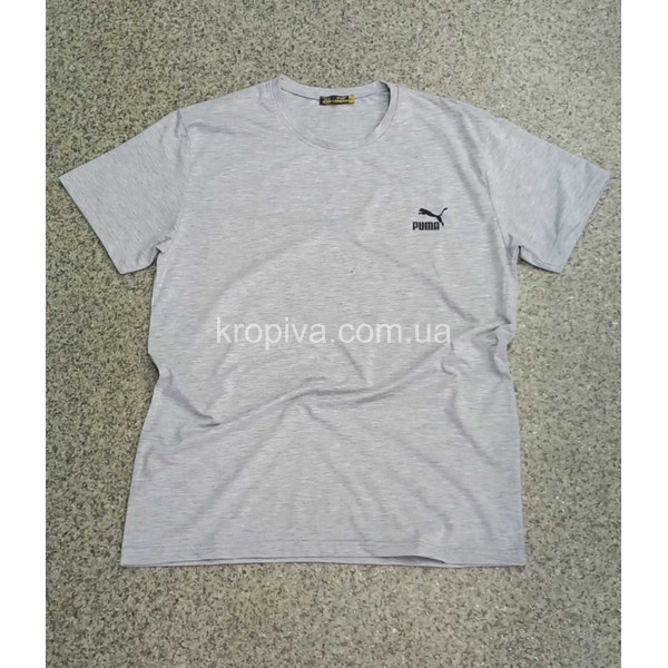 Чоловічі футболки Батал Туреччина оптом 200424-769