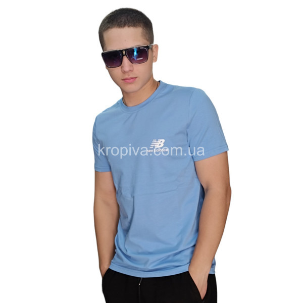 Чоловічі футболки Туреччина норма оптом 030524-165