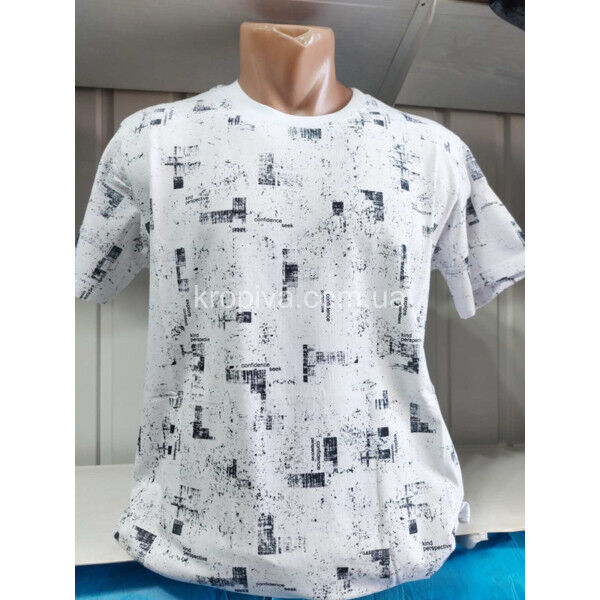 Мужская футболка норма Турция VIPSTAR оптом 090325-601