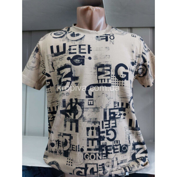 Мужская футболка норма Турция VIPSTAR оптом 250325-701