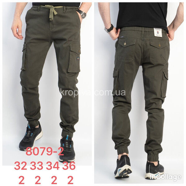 Чоловічі штани норма осінь/весна оптом 180825-663