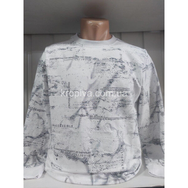 Чоловічий світшот норма Туреччина VIPSTAR оптом 230825-684