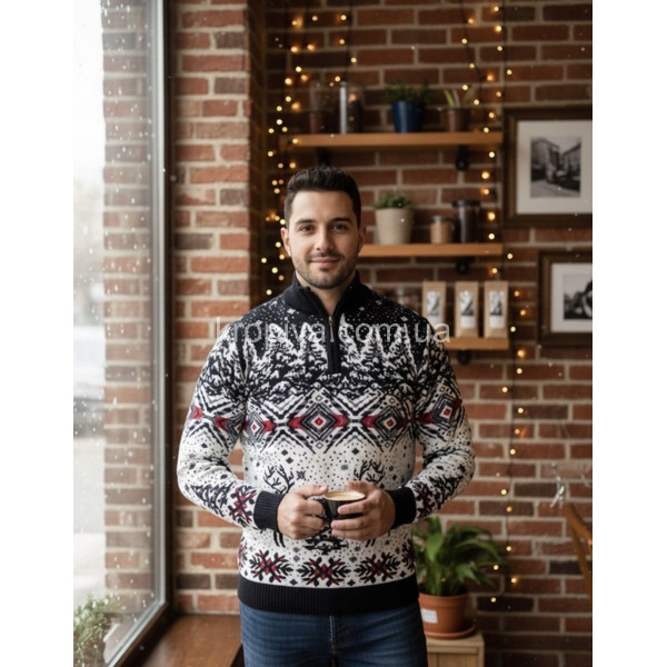 Чоловічий светр норма зима Туреччина оптом 031225-624