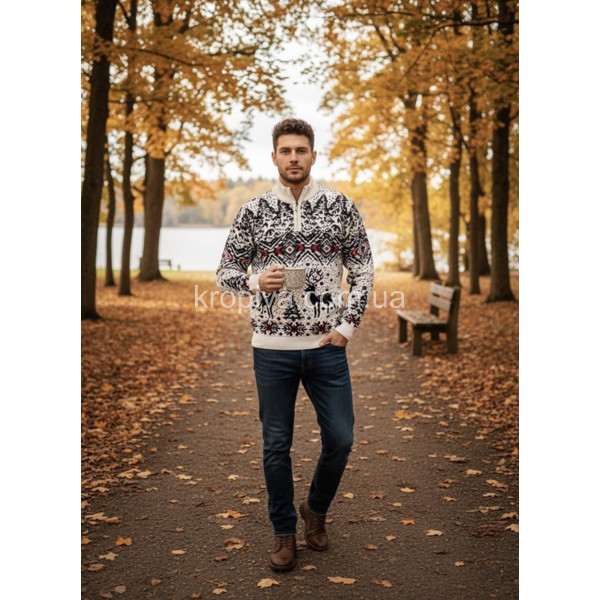 Чоловічий светр норма зима Туреччина оптом 031225-628