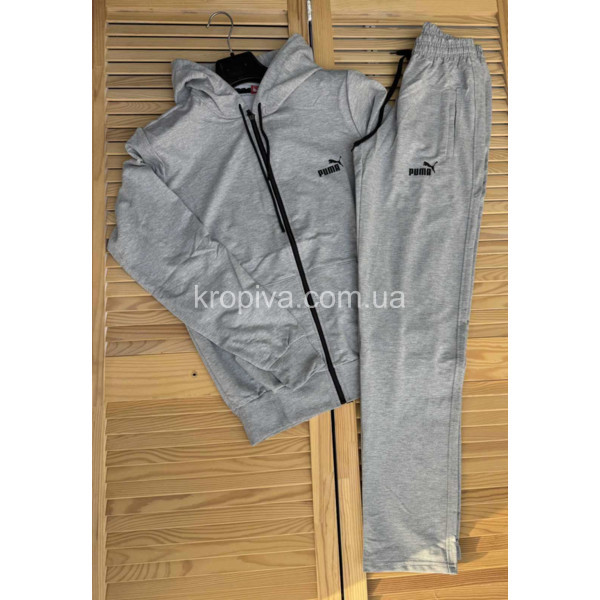 Мужской спортивный костюм норма оптом 190126-12