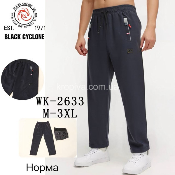 Мужские штаны 2633  оптом 250126-111