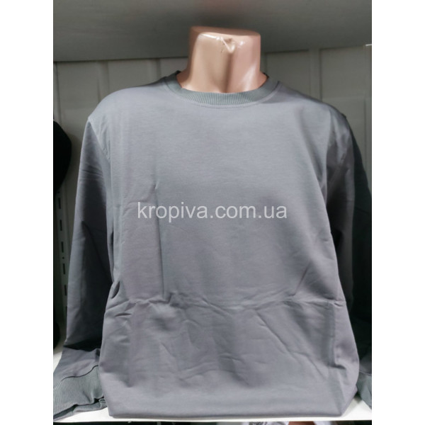 Чоловічий батник батал Туреччина VIPSTAR оптом 080226-793