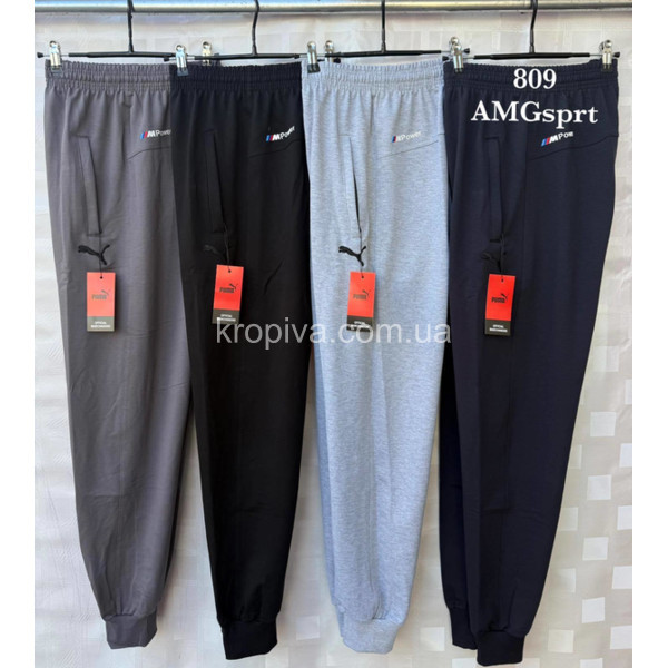 Чоловічі спортивні штани норма оптом 090226-623