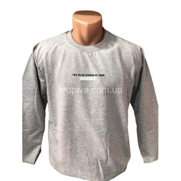 Мужской свитшот норма оптом 130226-0169