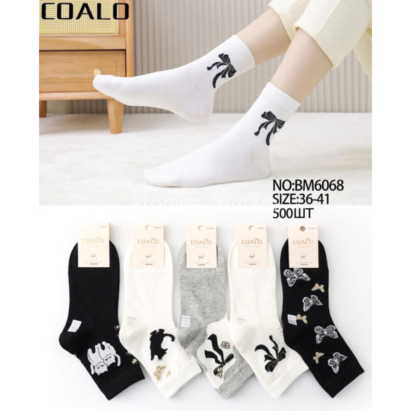 Жіночі шкарпетки оптом 010326-737