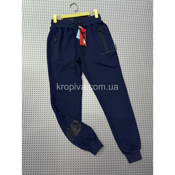 Мужские спортивные штаны норма Турция оптом 110326-621